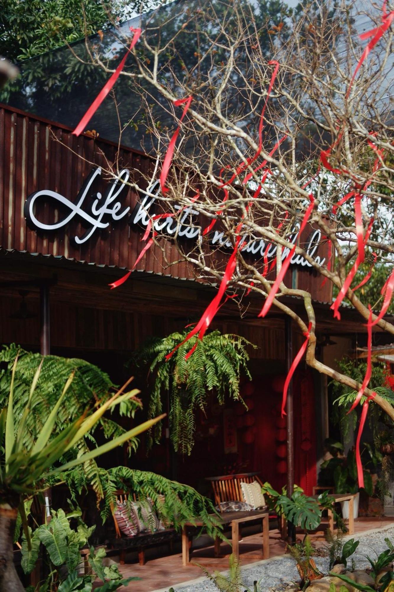 Harmony Garden - Home And Coffee Hue Luaran gambar